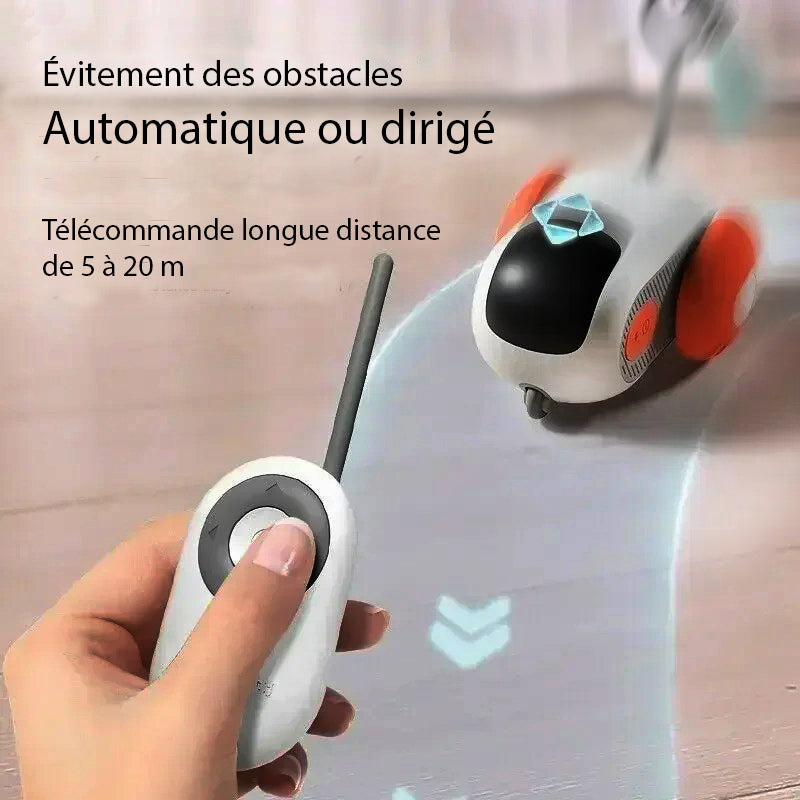 Jouet intelligent interactif pour Chats & Chiens - KittyFunny™