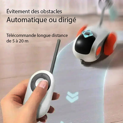 Jouet intelligent interactif pour Chats & Chiens - KittyFunny™