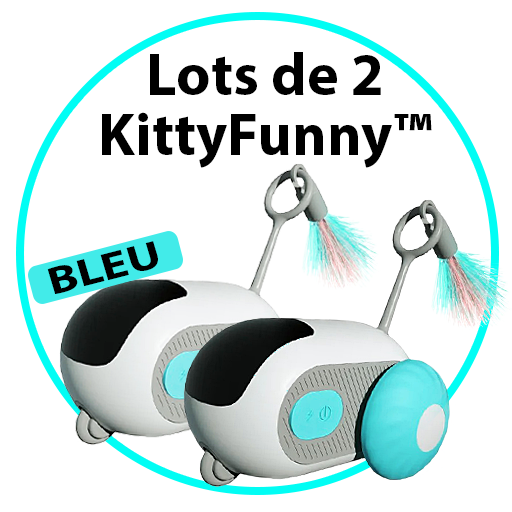 Jouet intelligent interactif pour Chats & Chiens - KittyFunny™