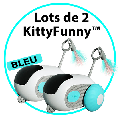 Jouet intelligent interactif pour Chats & Chiens - KittyFunny™