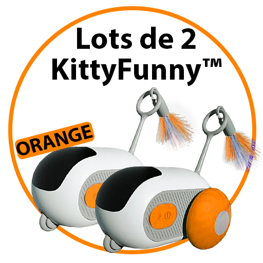 Jouet intelligent interactif pour Chats & Chiens - KittyFunny™