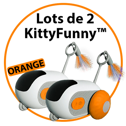 Jouet intelligent interactif pour Chats & Chiens - KittyFunny™