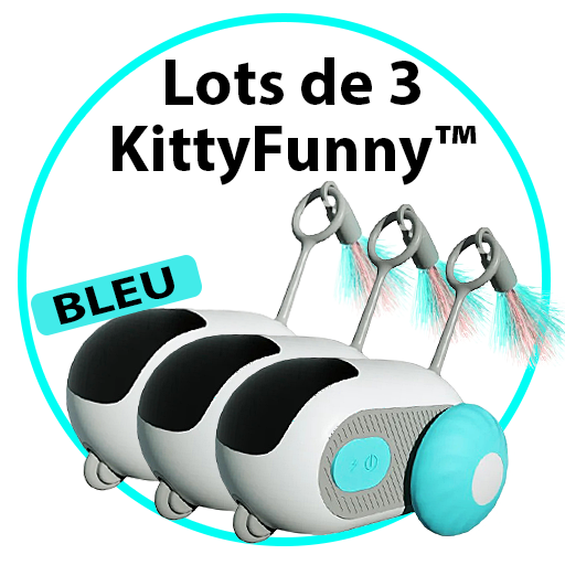 Jouet intelligent interactif pour Chats & Chiens - KittyFunny™