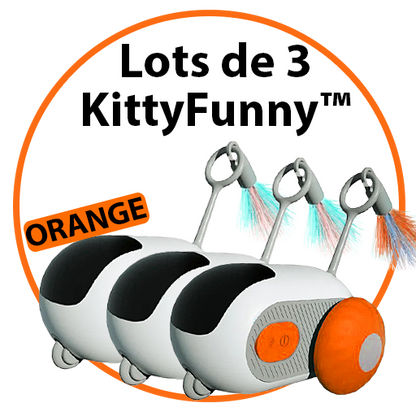 Jouet intelligent interactif pour Chats & Chiens - KittyFunny™