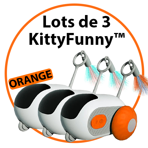 Jouet intelligent interactif pour Chats & Chiens - KittyFunny™