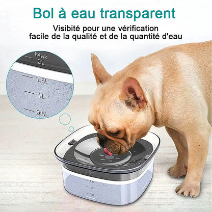 Bol à eau transparent anti débordement pour chiens et chats