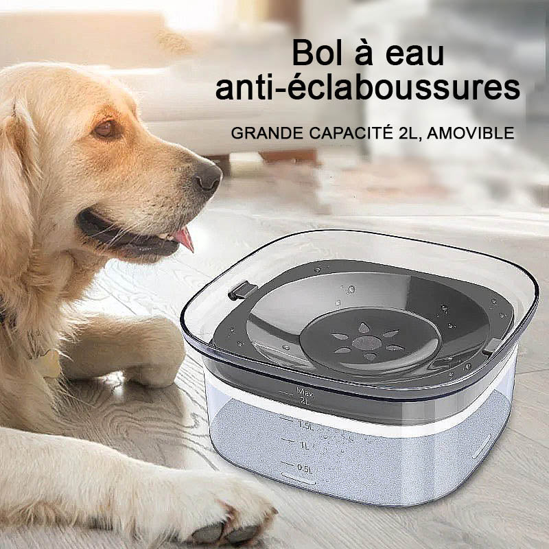 Bol à eau transparent anti débordement pour chiens et chats