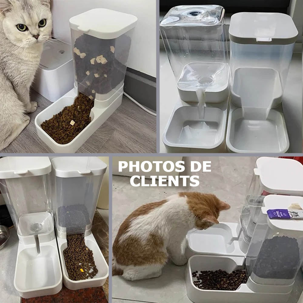 Distributeur automatique de nourriture et d'eau pour chiens et chats