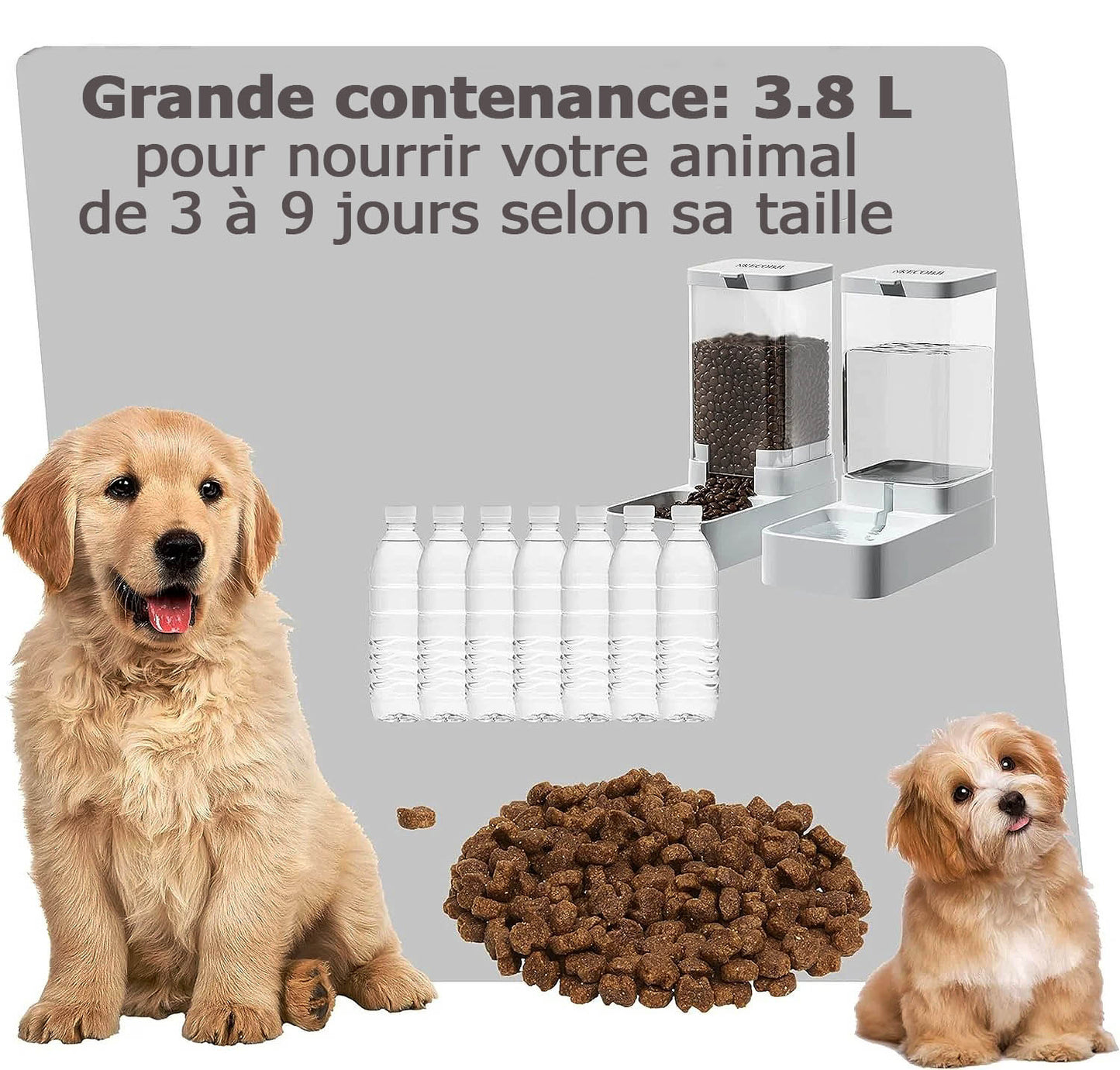 Distributeur automatique de nourriture et d'eau pour chiens et chats