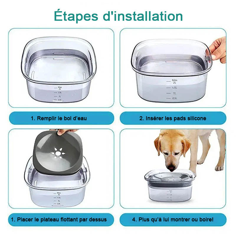 Bol à eau transparent anti débordement pour chiens et chats