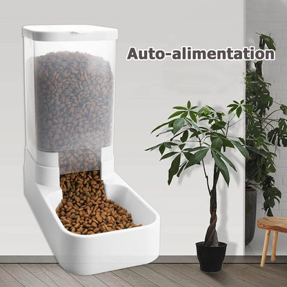 Distributeur automatique de nourriture et d'eau pour chiens et chats